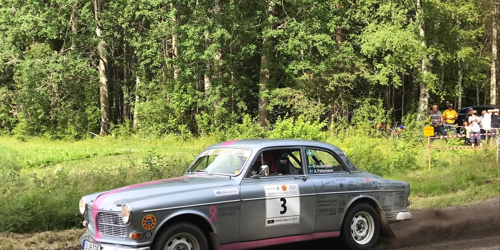 Rosa rally